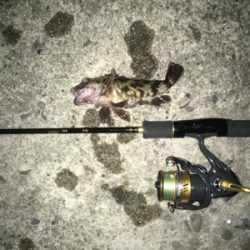 タイミングが合わない(*´Д｀*)