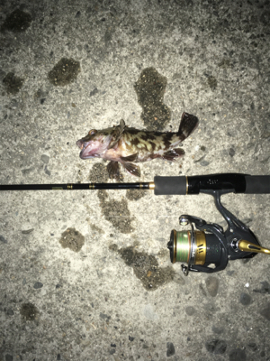 タイミングが合わない(*´Д｀*)