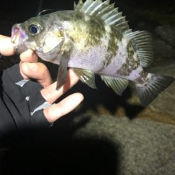 フロートメバリング