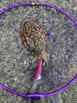 ここしか空いてなくて！