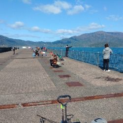 久しぶりに釣れました