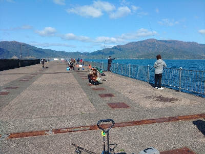 久しぶりに釣れました