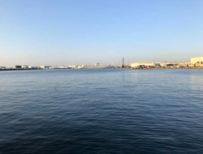 春が来ました！