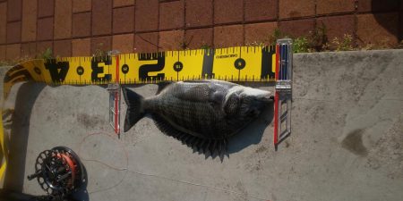 黒を求めて　～辰巳橋～