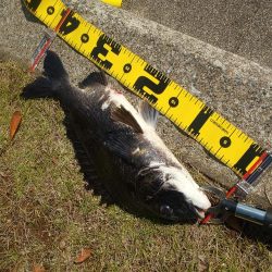 1年半たちました　～ぐるり公園～