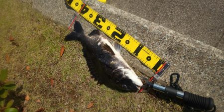 1年半たちました　～ぐるり公園～