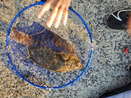 天秤仕掛けでちょい投げカレイ