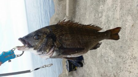 テトラ釣りに挑戦!!