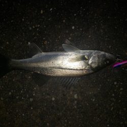 夜練釣行