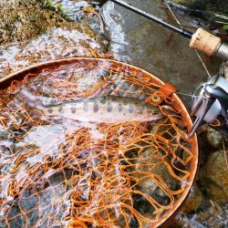 入るとこ無い( ノД`)…