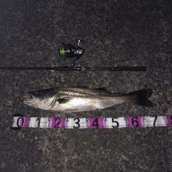 納得サイズでした!