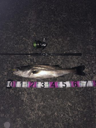 納得サイズでした!