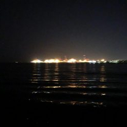 サイズはイマイチ