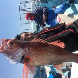 喰い喰い　高級魚釣り^_^