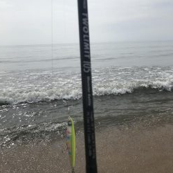 今年　最初のシーバス