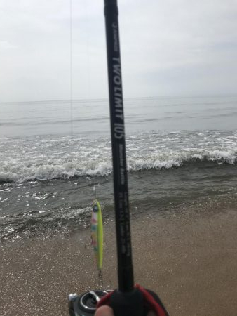 今年　最初のシーバス