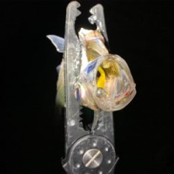 大阪湾奥を貸し切り探してウロウロ