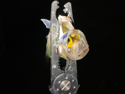 大阪湾奥を貸し切り探してウロウロ