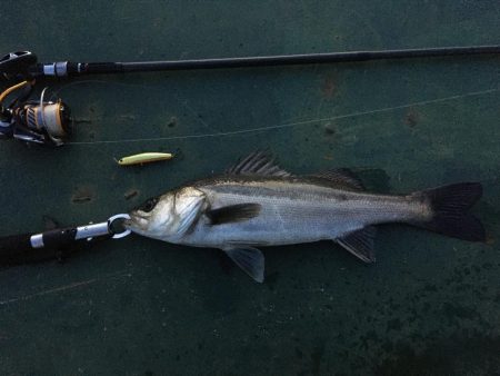 リベンジバチ抜け！