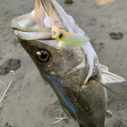 仕事帰りの一本