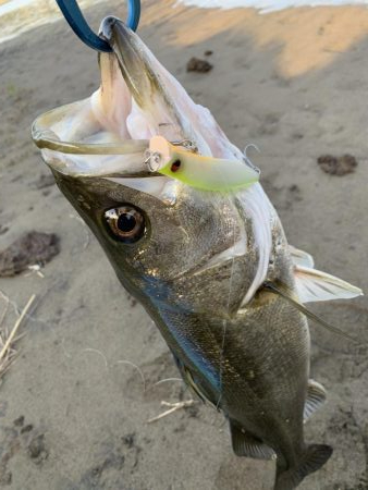 仕事帰りの一本