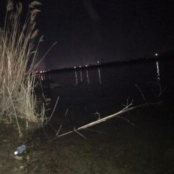 紀の川のチニング