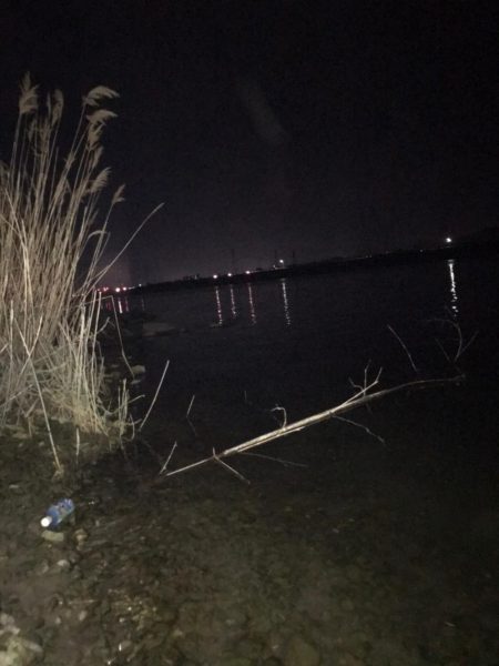 紀の川のチニング