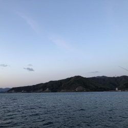 サゴシはどこへ…？