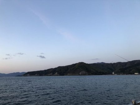 サゴシはどこへ…？