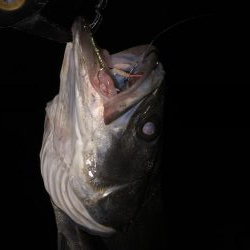 ちょっとだけサイズアップ