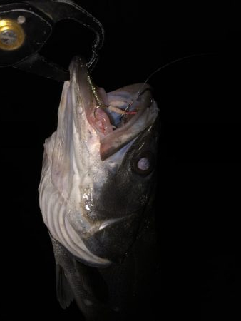 ちょっとだけサイズアップ