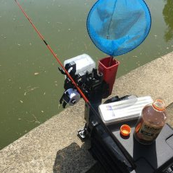 暴風のタナゴ釣り