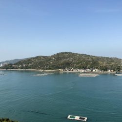 鳥羽シーサイドホテル裏には真鯛