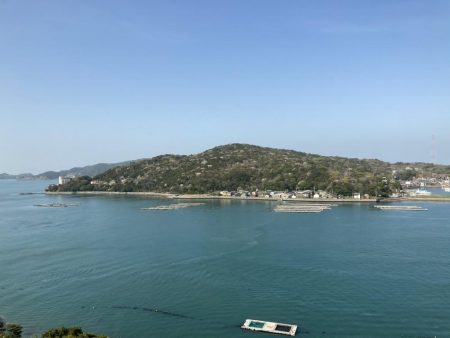 鳥羽シーサイドホテル裏には真鯛