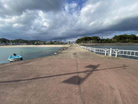 デカイカ求めて