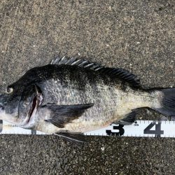 イチノ兄弟、釣果！