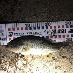 春って思ってるより難しい