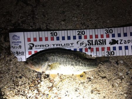 春って思ってるより難しい