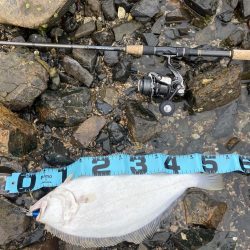 天気がいいので