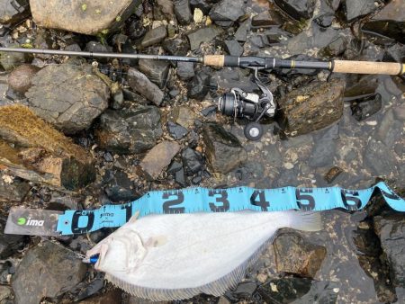 天気がいいので