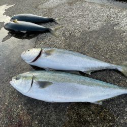 強風で大変でした