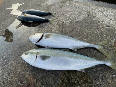 強風で大変でした