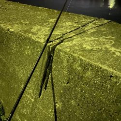 そこそこアジング