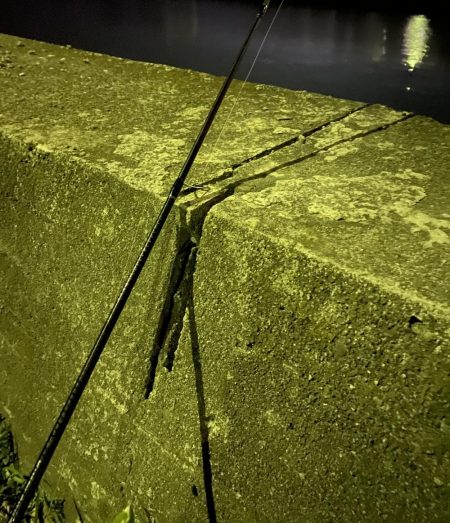 そこそこアジング