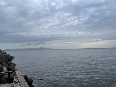 エビ撒きでシーバスとメバル