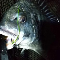 フォール&ステイ