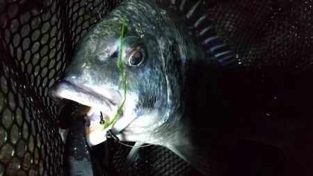 フォール&ステイ