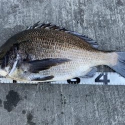 イチノ兄弟、釣果！