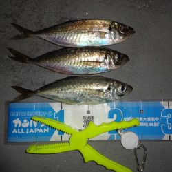 ノー残業デーだったので仕事終わりに行って来ました。