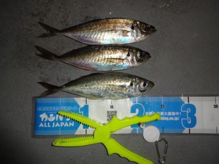 ノー残業デーだったので仕事終わりに行って来…